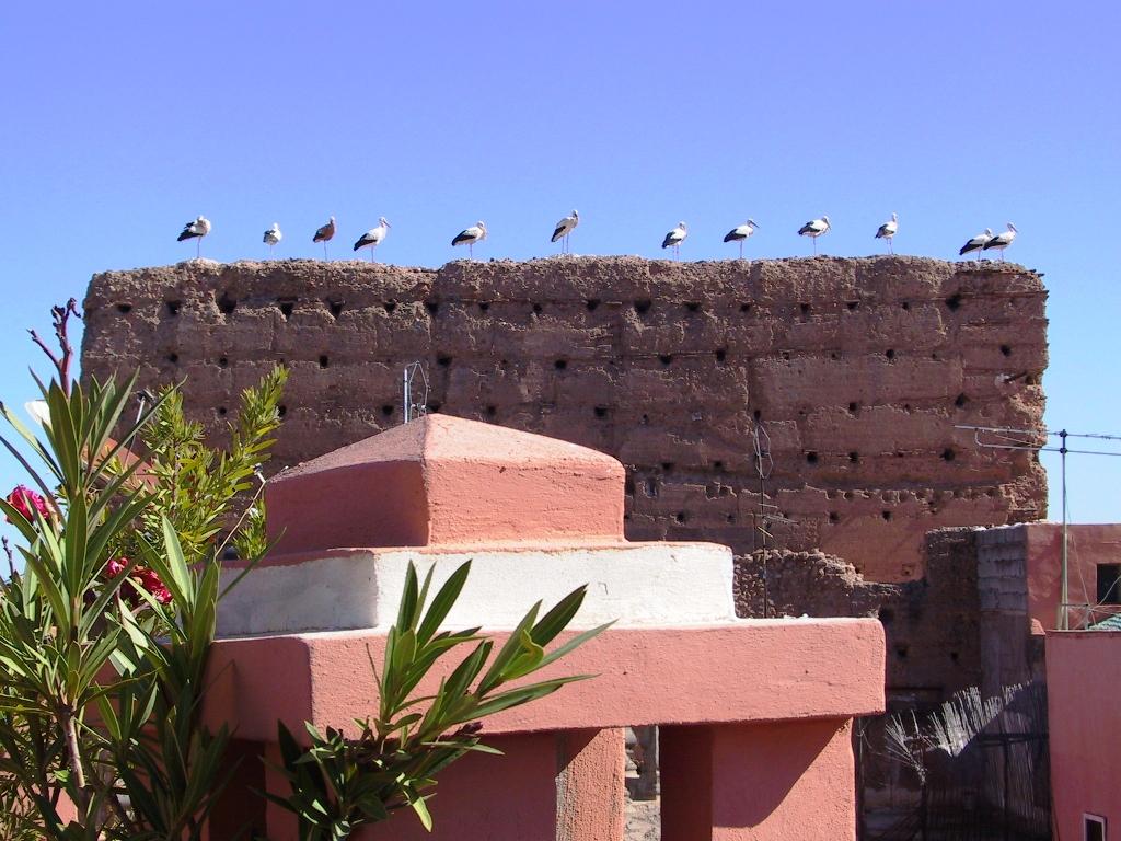 Riad El Farah Kasbah Marakeş Dış mekan fotoğraf